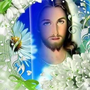 Meet your Posher, Daisy